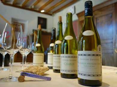 Chablis-Weinverkostung auf dem Weingut Domaine Clotilde Davenne