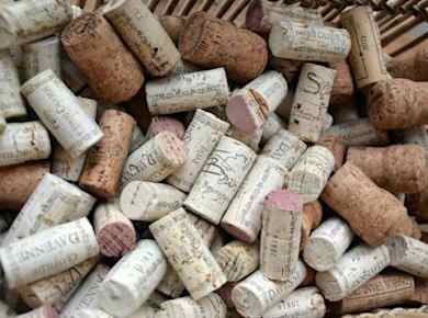 Weingutbesichtigung bei Domaine Clotilde Davenne auf Englisch und Chablis-Verkostung