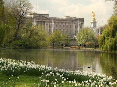Buckingham Palace - Tour and Tickets - River View