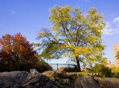 centralparkphotosafari_02b.jpg