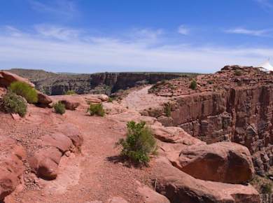 Grand Canyon West Rim Bus Tour1.jpg