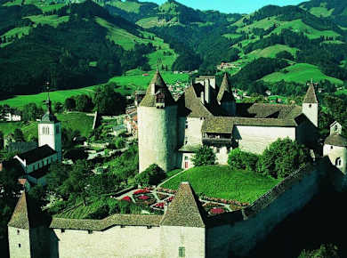 Gruyères Golden-0