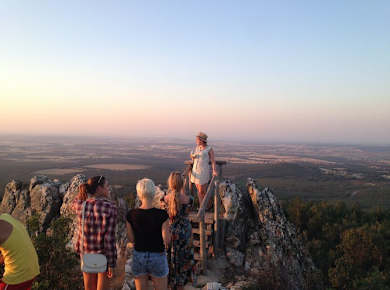 Ribera del Duero wine tour and tasting from Madrid-1