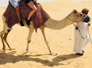 abu dhabi morning safari camel ride.jpg