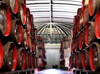 wine-tour-madeira-barbeito-cellar.jpg