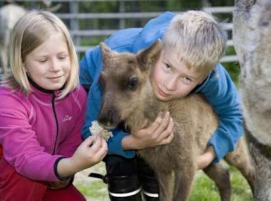 Canoeing trip with visit ot reindeer and husky farm 2.jpg