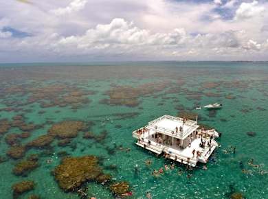 Maracajau Parrachos Reef Brazil 1.jpg