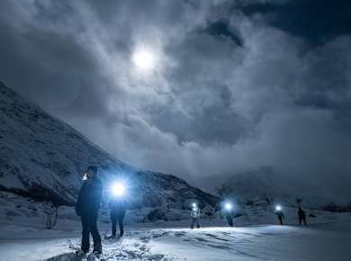 Night_Snowshoeing_Wandering_Owl_2.jpg