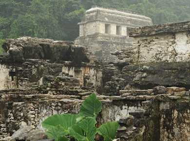 Palenque Mayan Ruins and waterfalls 4.jpg