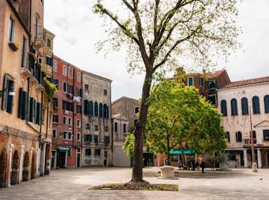 1. AdobeStock_268713611.jpeg