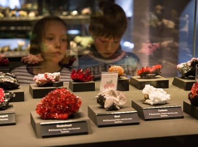 Ferienprogramm in der terra mineralia