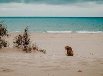 Patara Beach