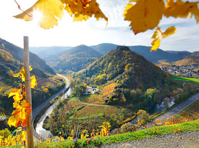 Ahreifel, Blick vom AhrSteig ins Ahrtal zwischen Rech und Mayschoß