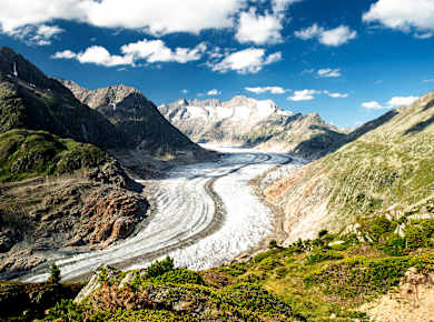 Aletsch, Gletscher
