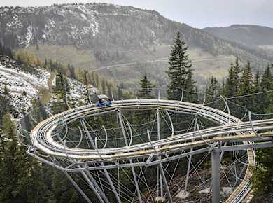 Alpbach, Alpine Coaster Lauser Sauser