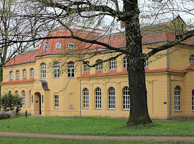 Altenburg, Naturkundemuseum Mauritianum Altenburg