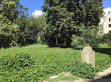 Alter Jüdischer Friedhof Berlin-Mitte