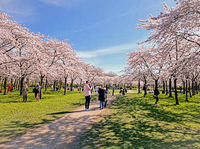 Amstelveen, Amsterdamse Bos
