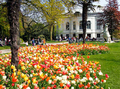 Amsterdam, ARTIS Zoo