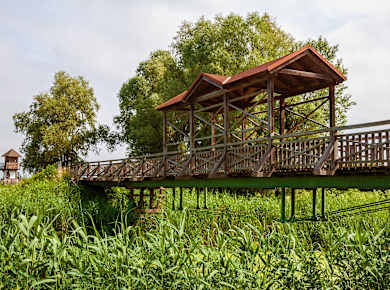 Andau, Brücke von Andau