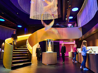 Antwerpen, Chocolate Nation