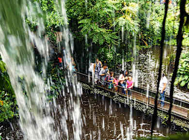 Arnhem, Koninklijke Burgers' Zoo