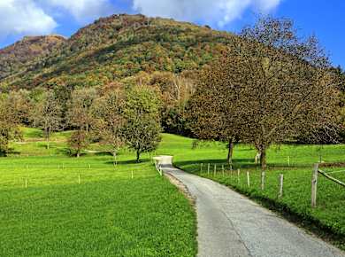Arosio, Sentiero del Castagno