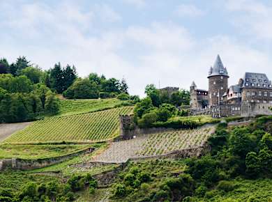 Bacharach, Stadtmauerrundweg