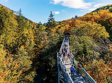 Bad Harzburg, Baumwipfelpfad Harz