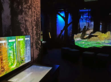 Bad Harzburg, HarzWaldHaus