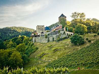 Bad Radkersburg, Steirische Schlösserstraße