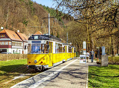 Bad Schandau, Kirnitzschtalbahn