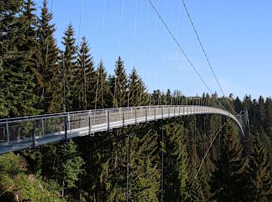 Bad Wildbad, WILDLINE Hängebrücke