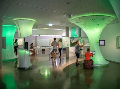 Bad Wurzach, Naturschutzzentrum Wurzacher Ried, Erlebnisausstellung Moor Extrem