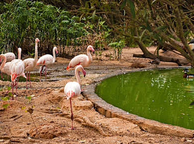 Barão de São João/Lagos, Parque Zoológico de Lagos