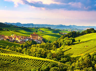 Barolo