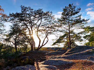 Parc naturel régional du Gâtinais français