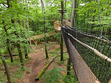 Baumkronenpfad Hoherodskopf