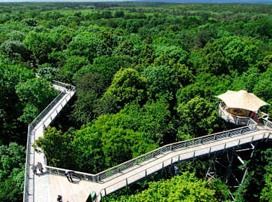 Schönstedt, Baumkronenpfad Nationalpark Hainich