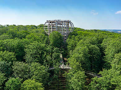 Ostseebad Binz, Baumwipfelpfad Rügen