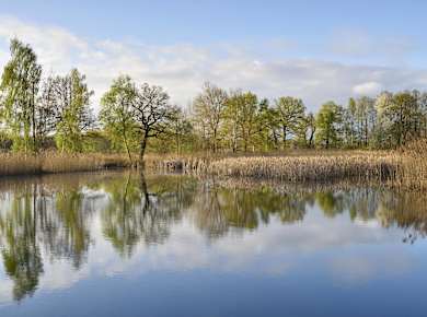 Oberlausitzer Heide und Teichlandschaft