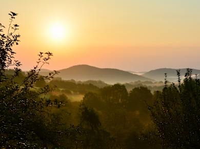 Bayerischer Spessart