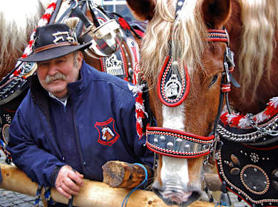 Berching, Berchinger Rossmarkt