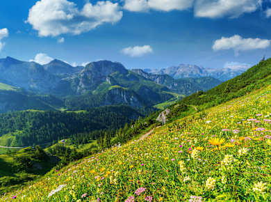 Berchtesgaden, Schneibstein