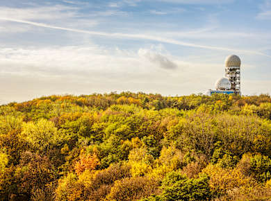 Berlin, Forst Grunewald