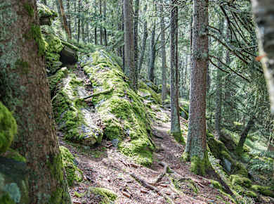 Bischofsmais, Teufelstisch