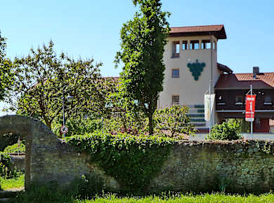 Bockenheim an der Weinstraße, Haus der Deutschen Weinstraße