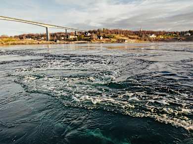 Saltstraumen