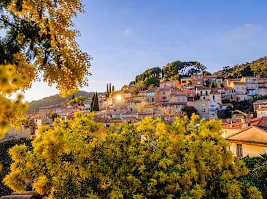 Bormes-les-Mimosas