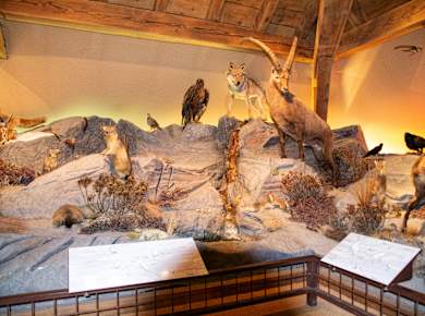 Bourg-St-Pierre, Hospiz-Museum am Großen St. Bernard